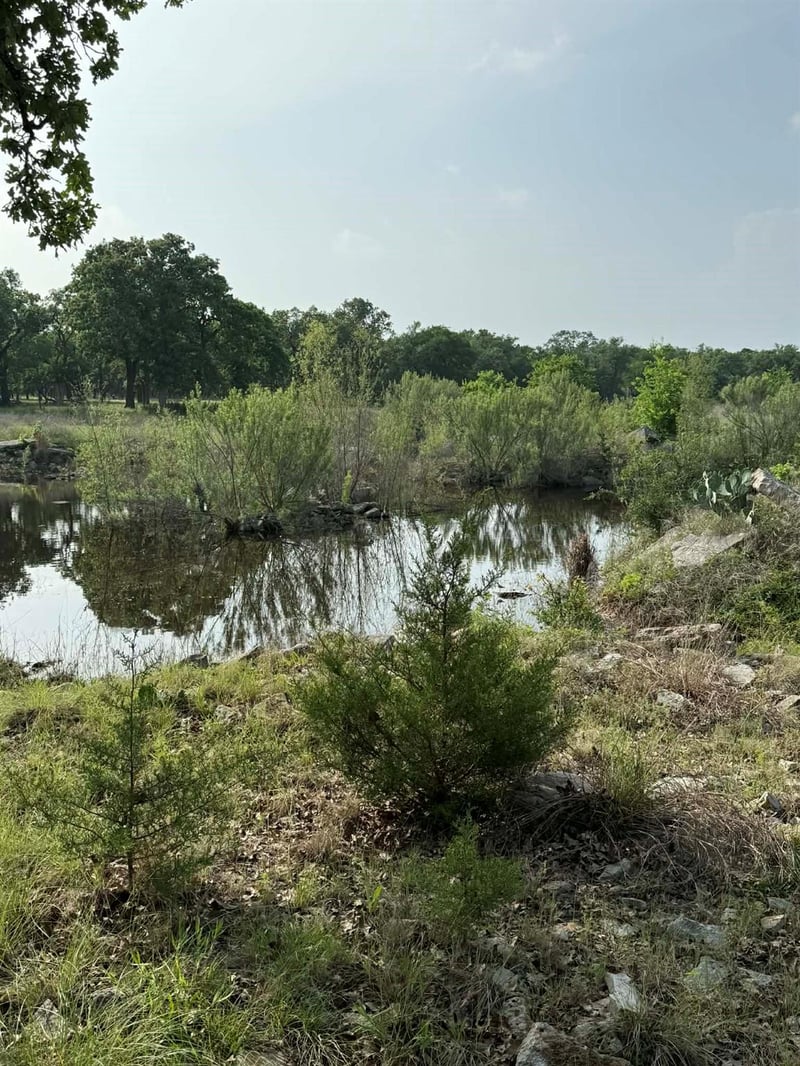 2251 County Road 234 LN, Georgetown, TX 78633