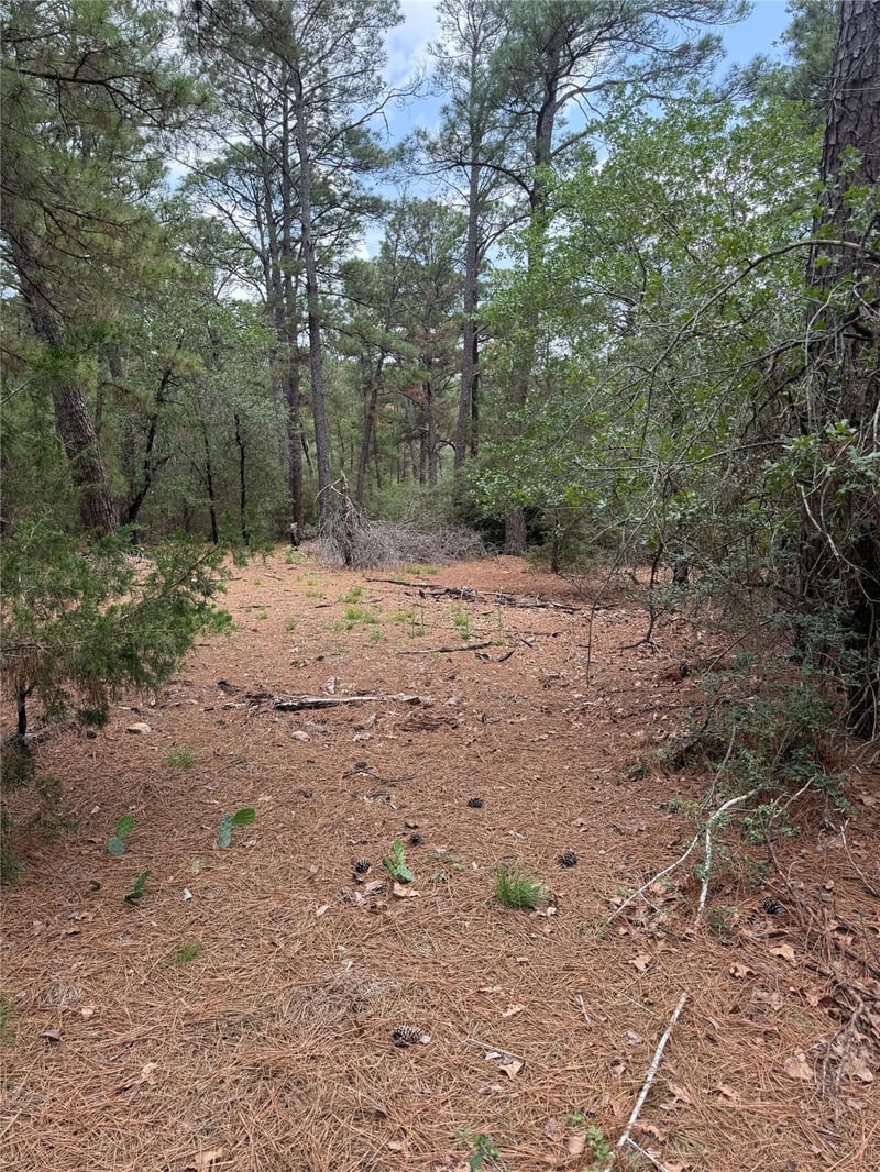 Lot 35 Tanglewood DR, Bastrop, TX 78602