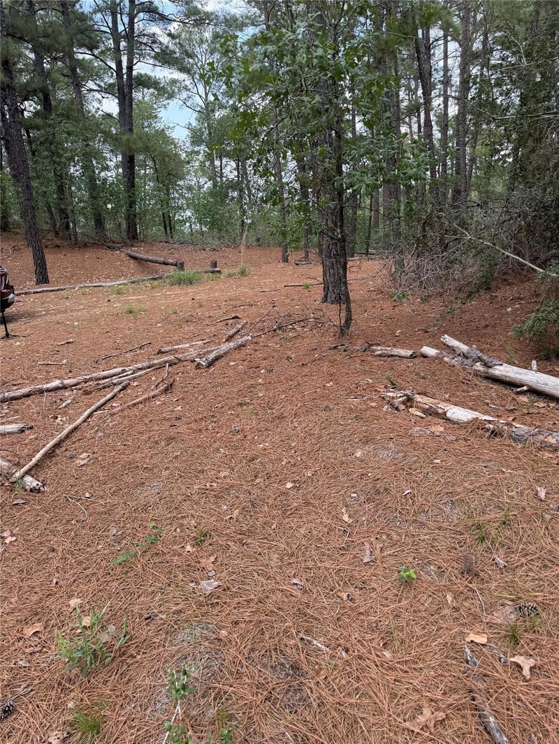 Lot 35 Tanglewood DR, Bastrop, TX 78602