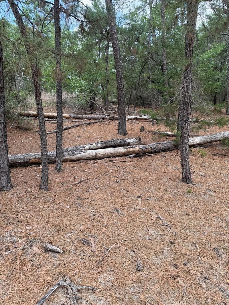 Lot 35 Tanglewood DR, Bastrop, TX 78602