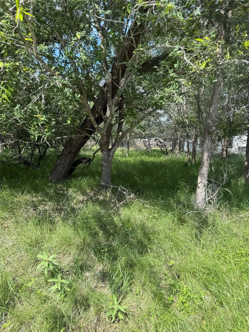 Lot 200 Nene LN, Bastrop, TX 78602