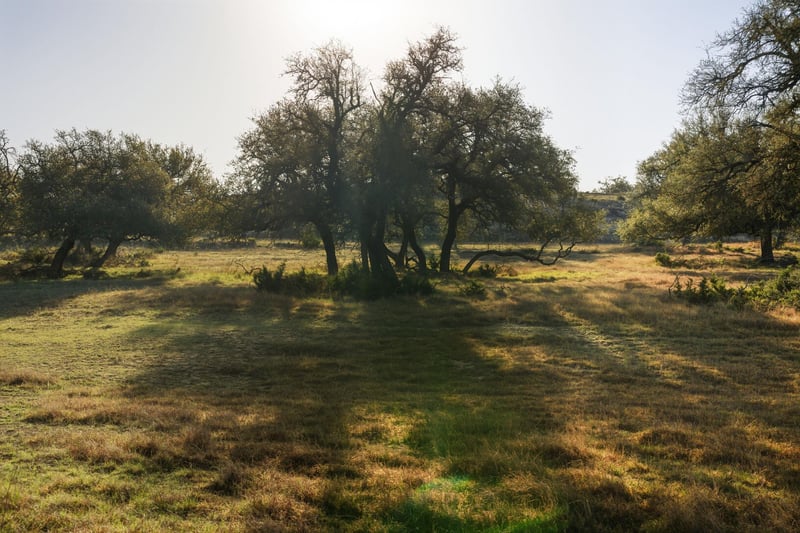 7890 Us 290 Hw, Dripping Springs, TX 78620