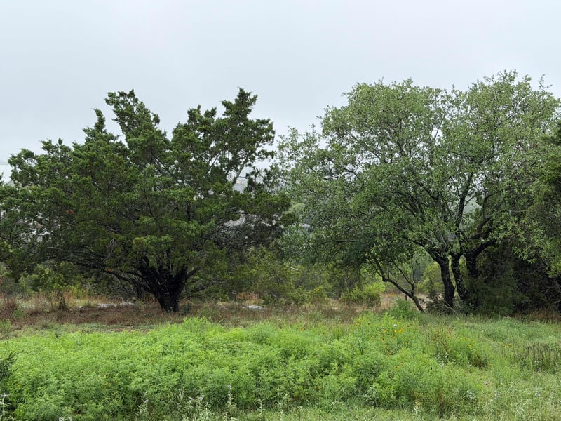 17408 Lake Wood CIR, Dripping Springs, TX 78620