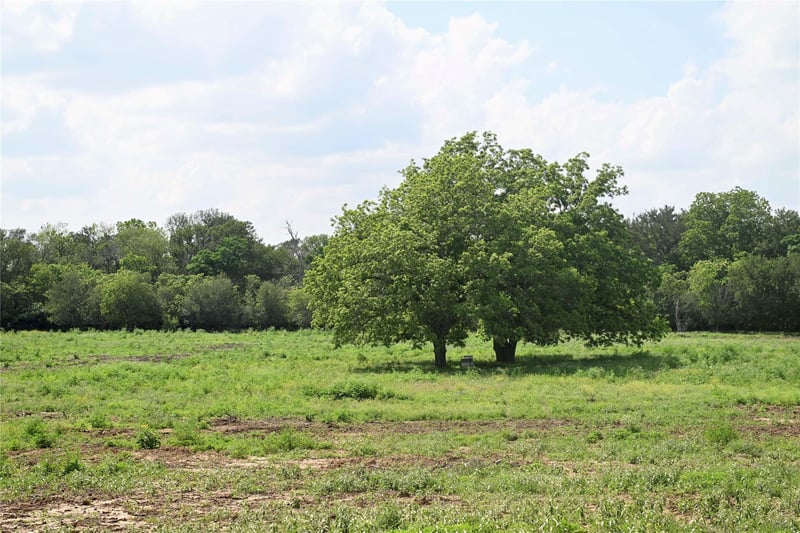 Lot 5 Valley Creek DR, Cedar Creek, TX 78612