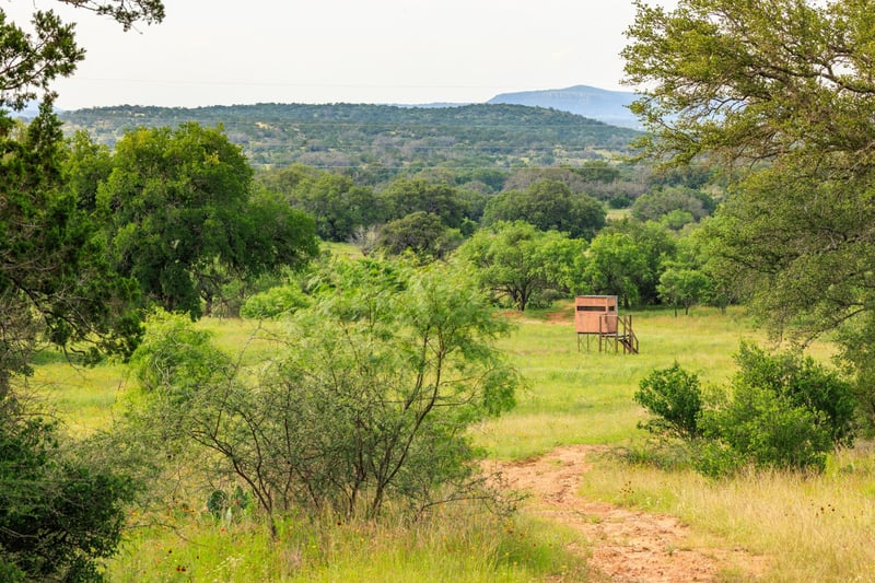 3724 Ranch Road 3347, Round Mountain, TX 78663