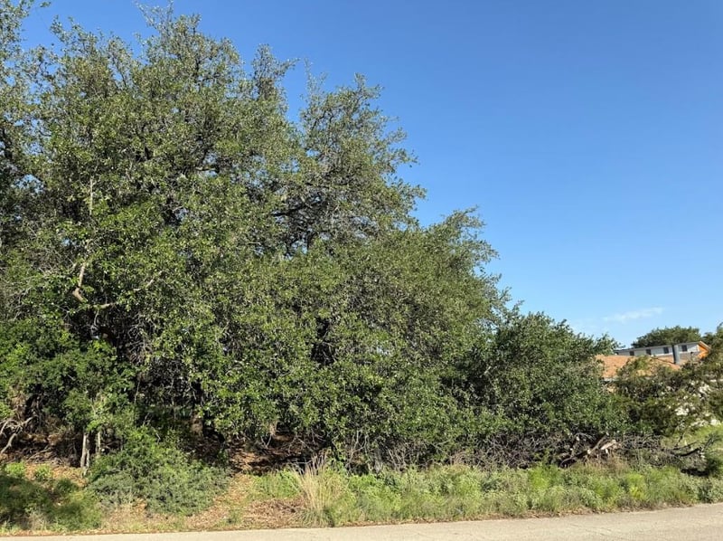 4209 Rockwood DR, Lago Vista, TX 78645