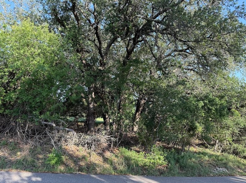 4209 Rockwood DR, Lago Vista, TX 78645