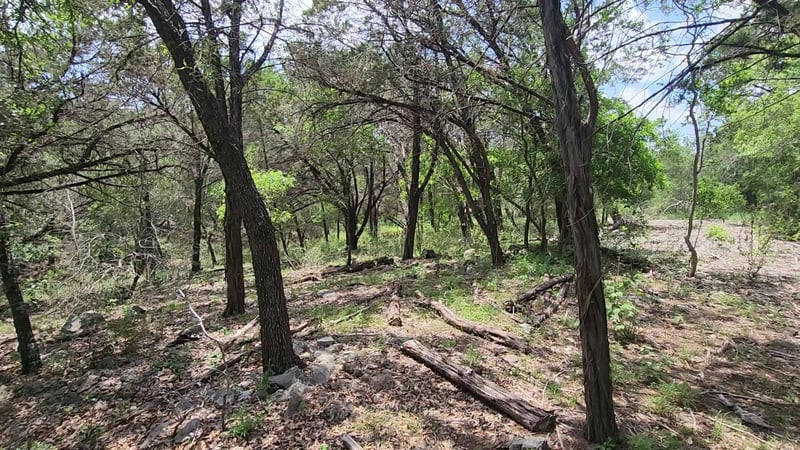 410 Owl Hollow RD, San Marcos, TX 78666