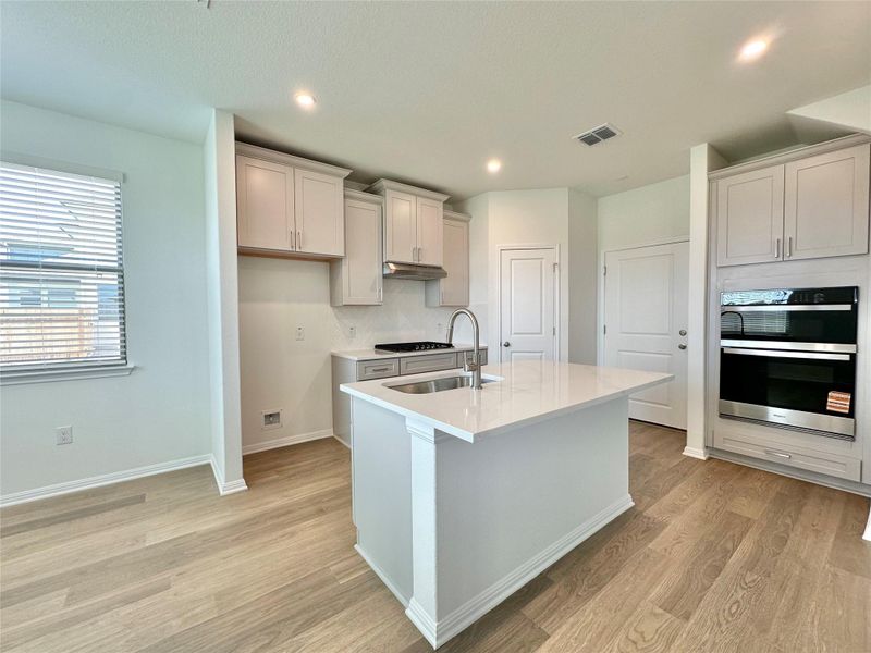 295 Young ST, Buda, TX 78610