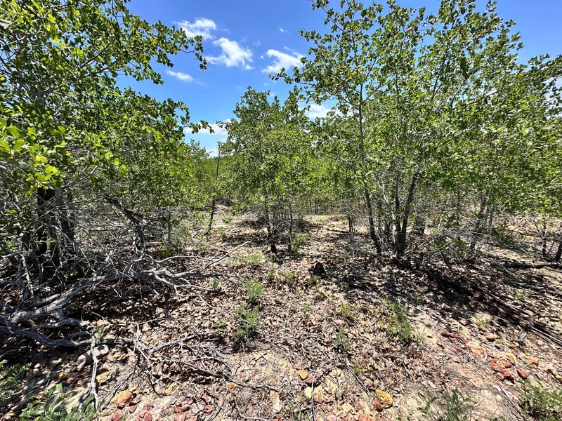 TBD Manawianui DR, Bastrop, TX 78602