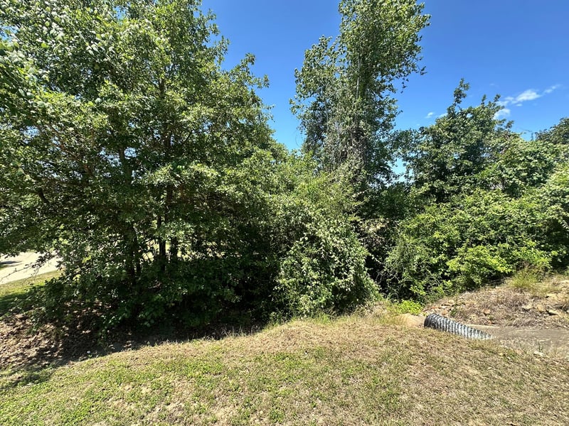 000 Manawianui DR, Bastrop, TX 78602