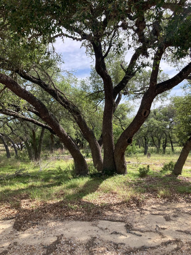 1050 Harmon Hills RD, Dripping Springs, TX 78620