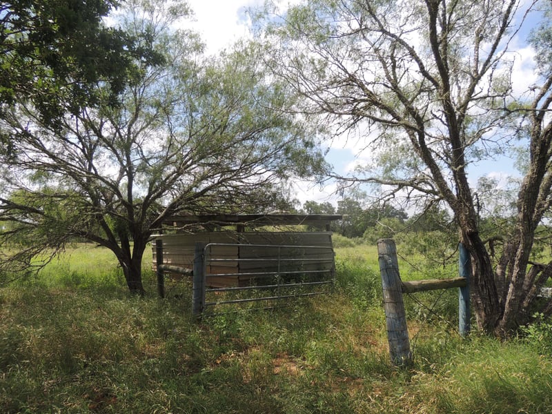 267 Linam LN, Cedar Creek, TX 78612