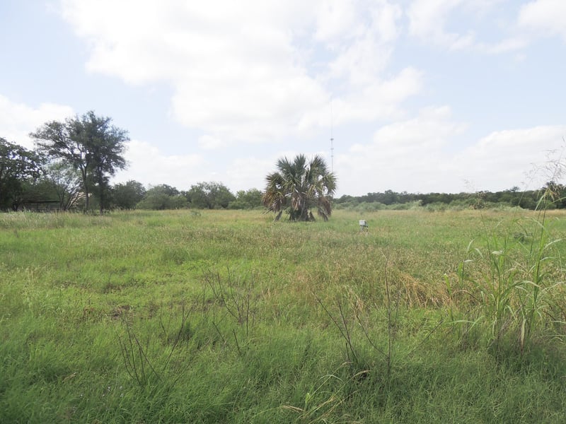267 Linam LN, Cedar Creek, TX 78612