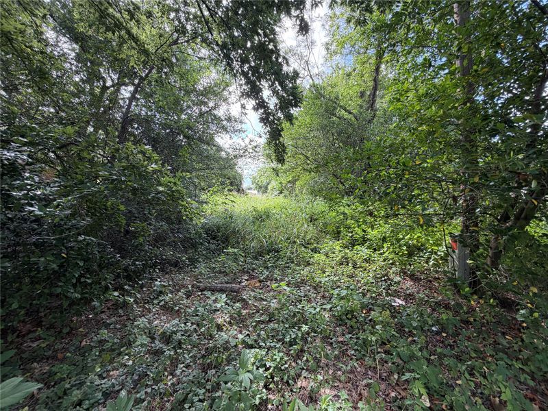 305 Ross ST, Smithville, TX 78957