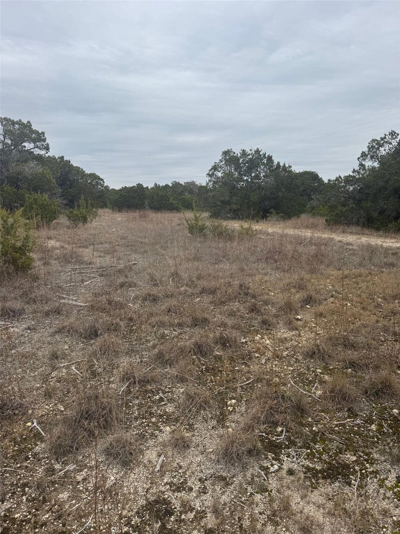 31822 Mirela Anne RD Lot 4F & 4E, Dripping Springs, TX 78620