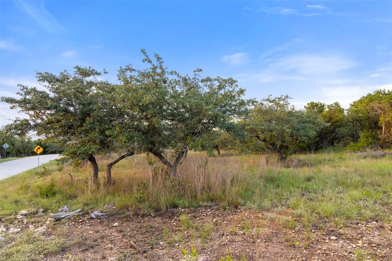 31930 Mirela Ann RD, Dripping Springs, TX 78620