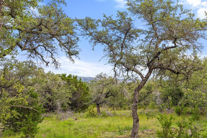31860 Mirela Ann RD, Dripping Springs, TX 78620