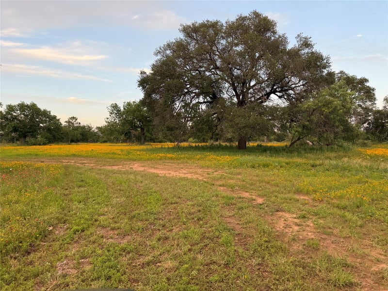 TBD Fm 1980 Tract 1, Marble Falls, TX 78654
