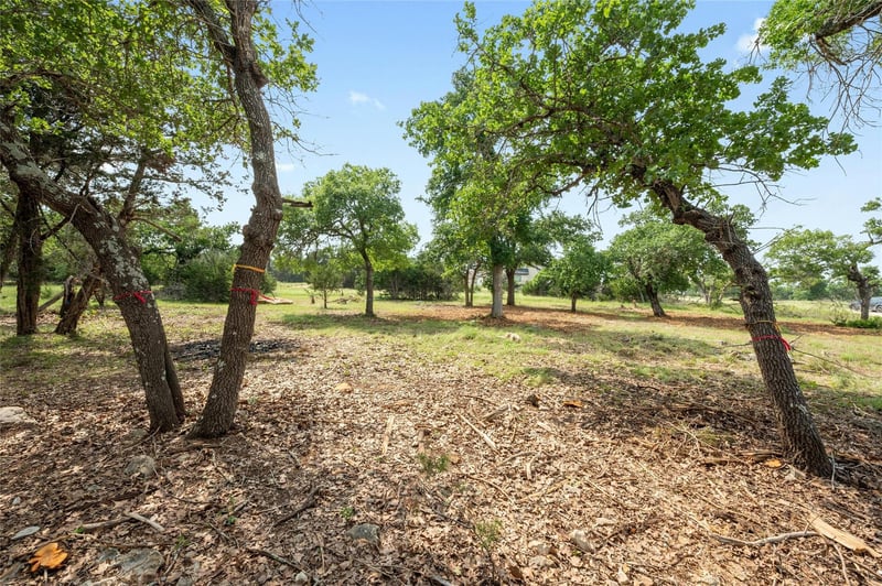 294 Mae PT, Dripping Springs, TX 78620