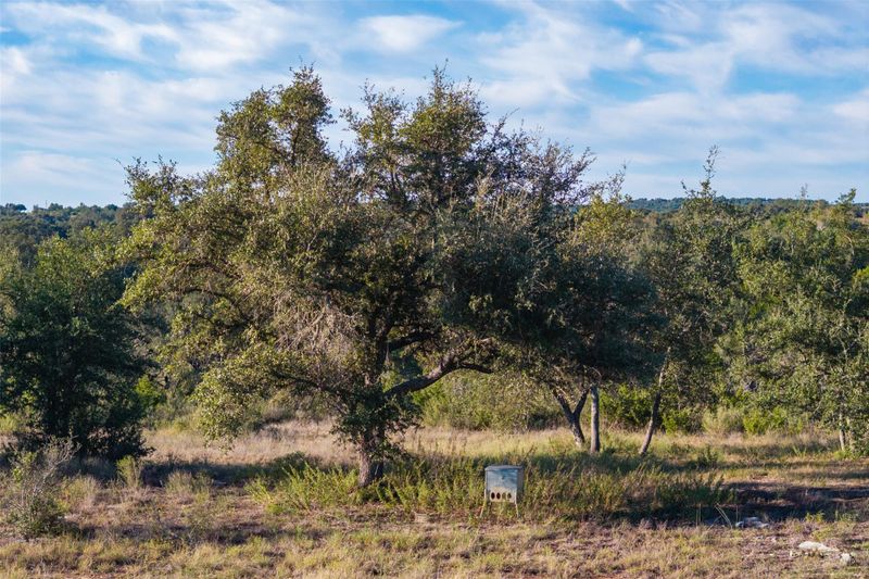 7275 Creek RD, Dripping Springs, TX 78620
