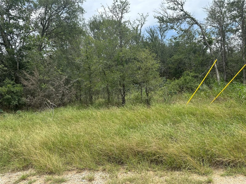 189 Puu Waa Waa LN, Bastrop, TX 78602