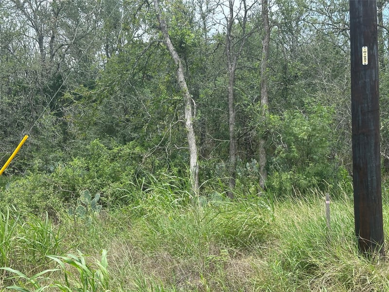 189 Puu Waa Waa LN, Bastrop, TX 78602