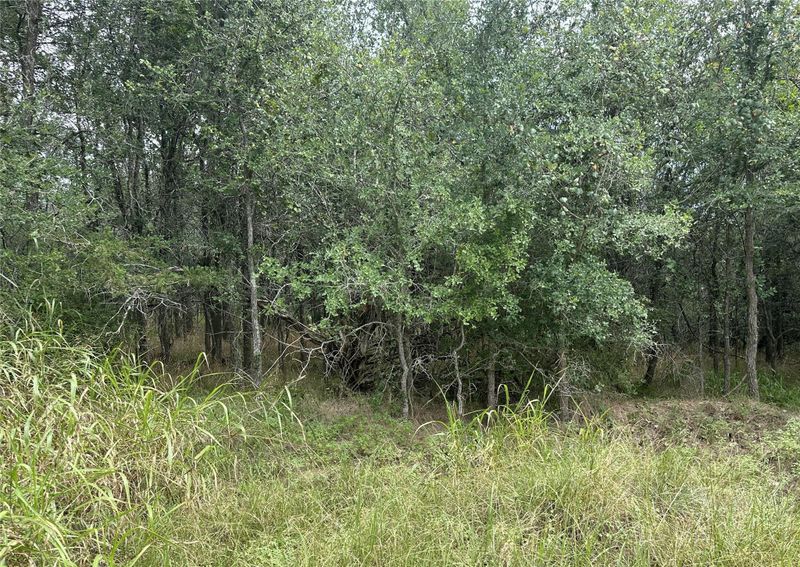 109 Halawa CT, Bastrop, TX 78602