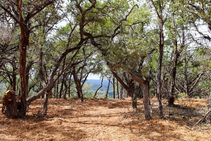 Tract 4 Buttercup LN, Wimberley, TX 78676