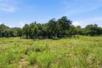 1313 Meadow Oak XING, Georgetown, TX 78633