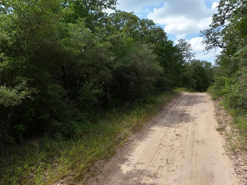 TBD Starlight Pa, Caldwell, TX 77836