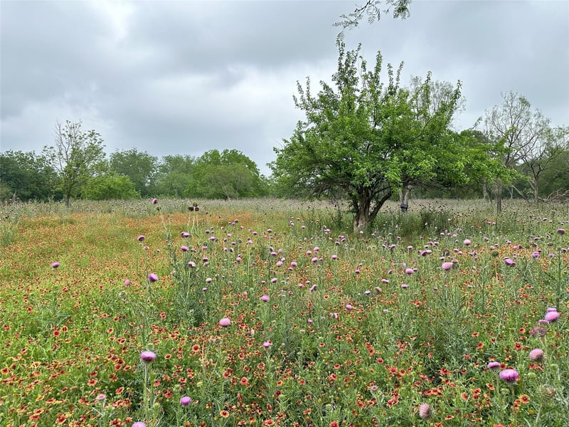 379 Vintners Way, Fredericksburg, TX 78624