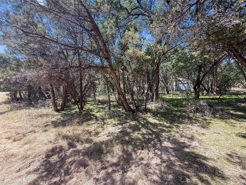 225 N Fawn RDG, Leander, TX 78641