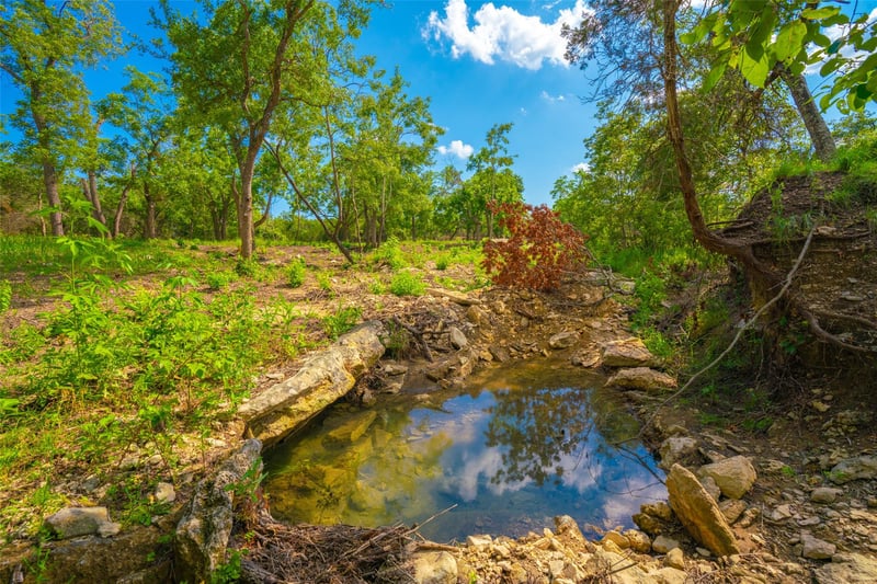 0 Spring Haven Ranch, Wimberley, TX 78676