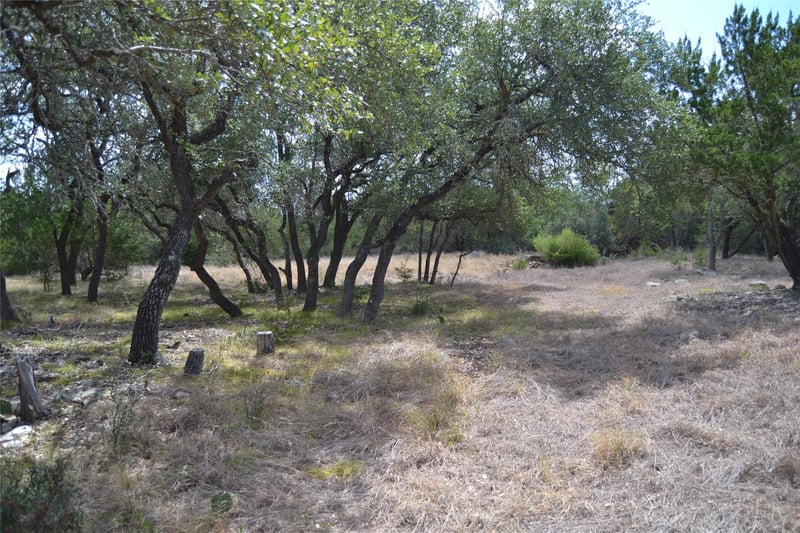 270 Gant RD, Dripping Springs, TX 78620