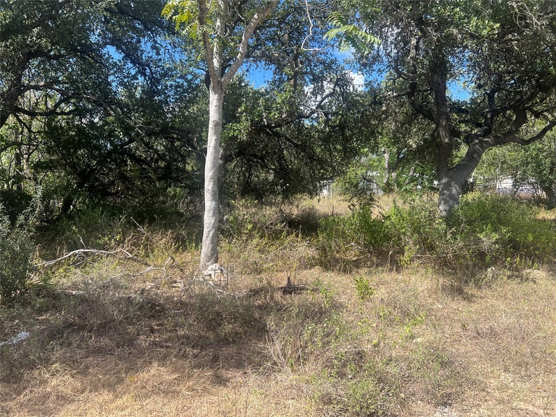 542 Flintstone DR, Canyon Lake, TX 78133