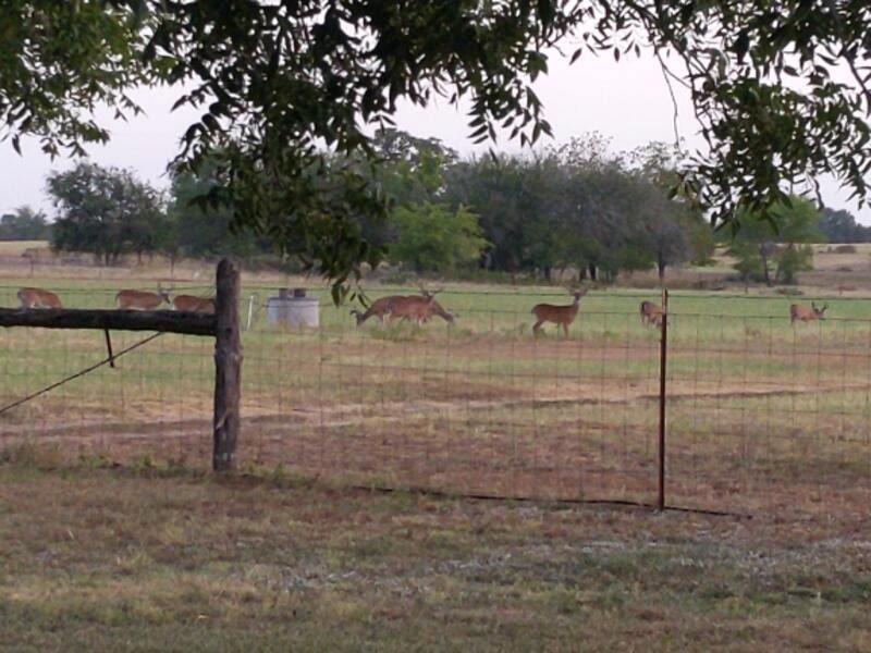 10905 fm 1915 Fm1915 Hw, Buckholts, TX 76518