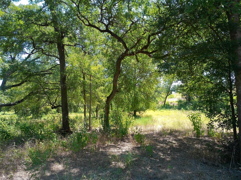 212 Serenity DR, Liberty Hill, TX 78642