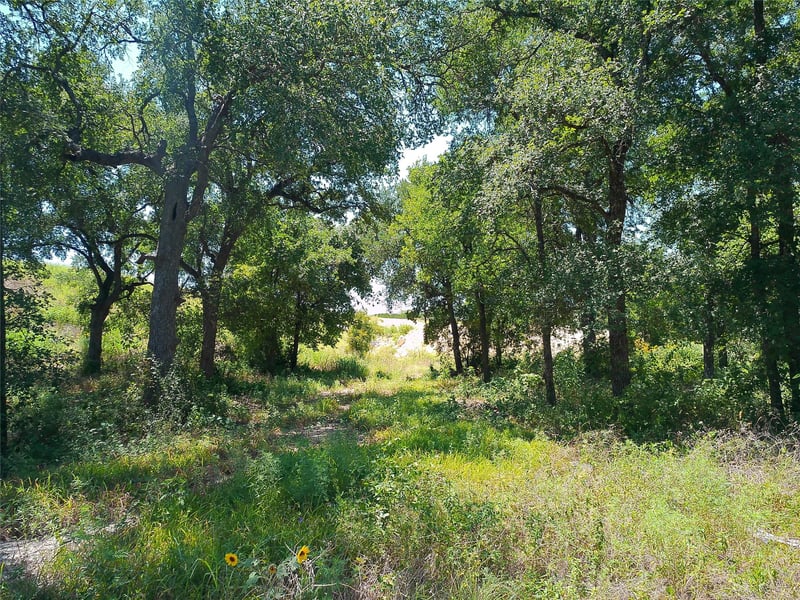 212 Serenity DR, Liberty Hill, TX 78642
