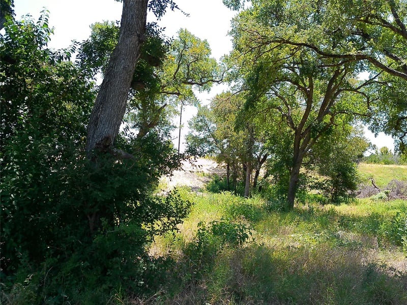 216 Serenity DR, Liberty Hill, TX 78642