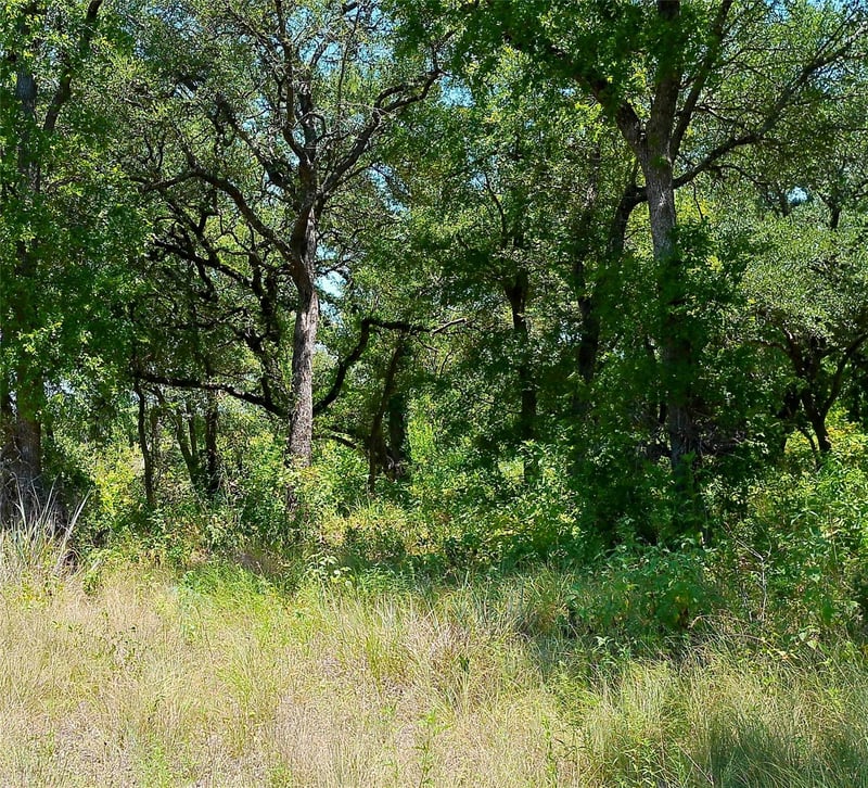 216 Serenity DR, Liberty Hill, TX 78642