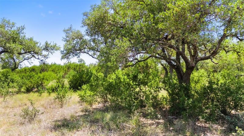 2153 San Jose Way, Canyon Lake, TX 78133