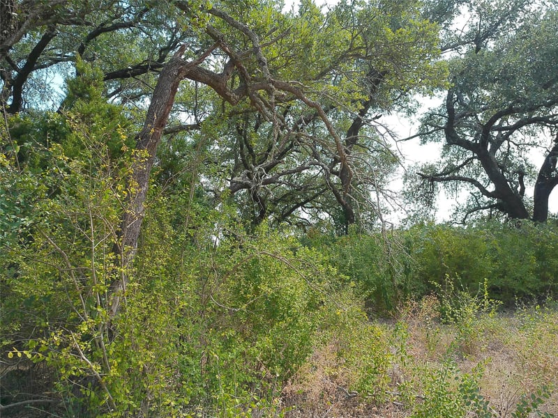 Lot 64 Rycen DR, Bertram, TX 78605