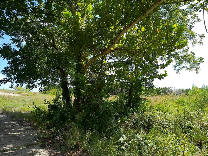 Lot 29 Serenity DR, Bertram, TX 78605