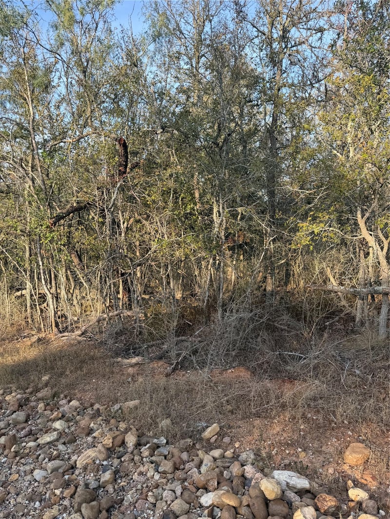 156 and 160 Helemano DR, Bastrop, TX 78602