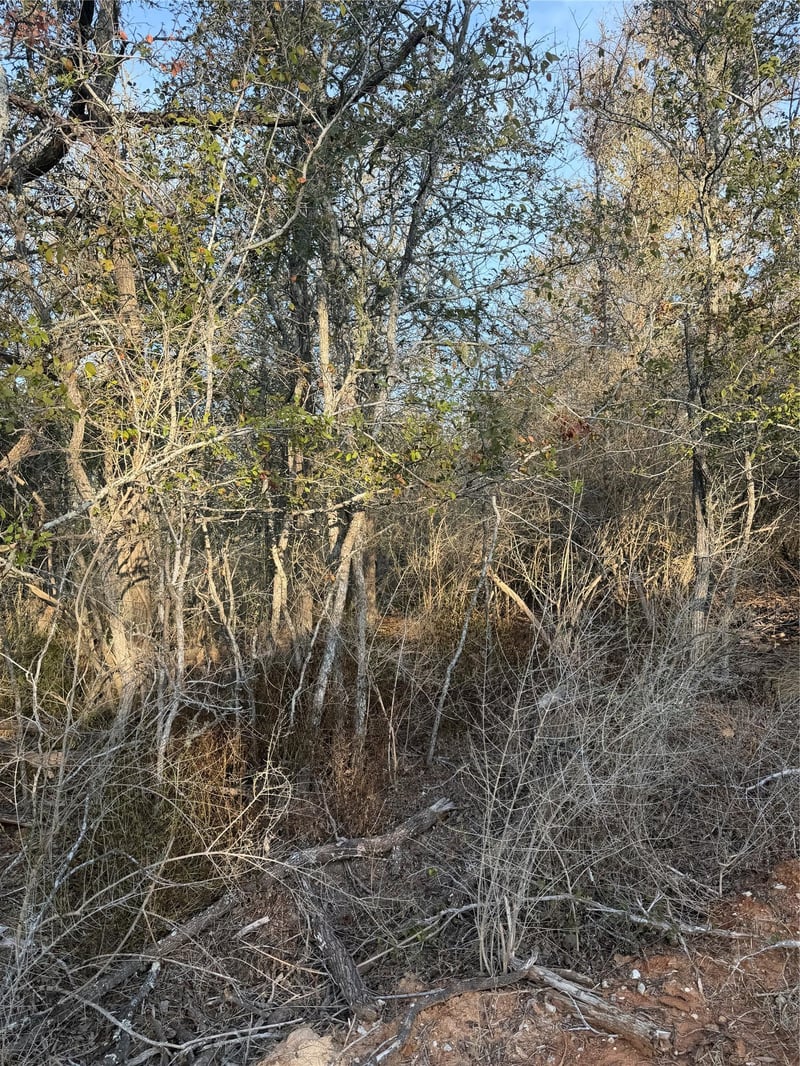 156 and 160 Helemano DR, Bastrop, TX 78602