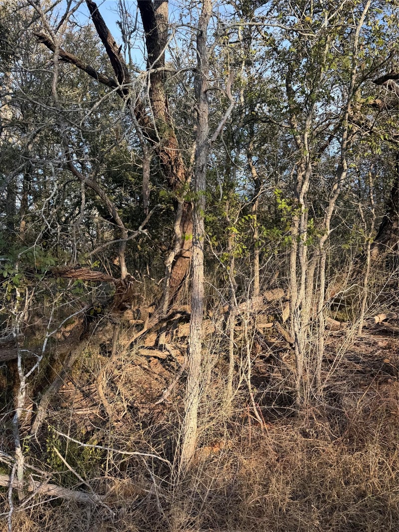 156 and 160 Helemano DR, Bastrop, TX 78602