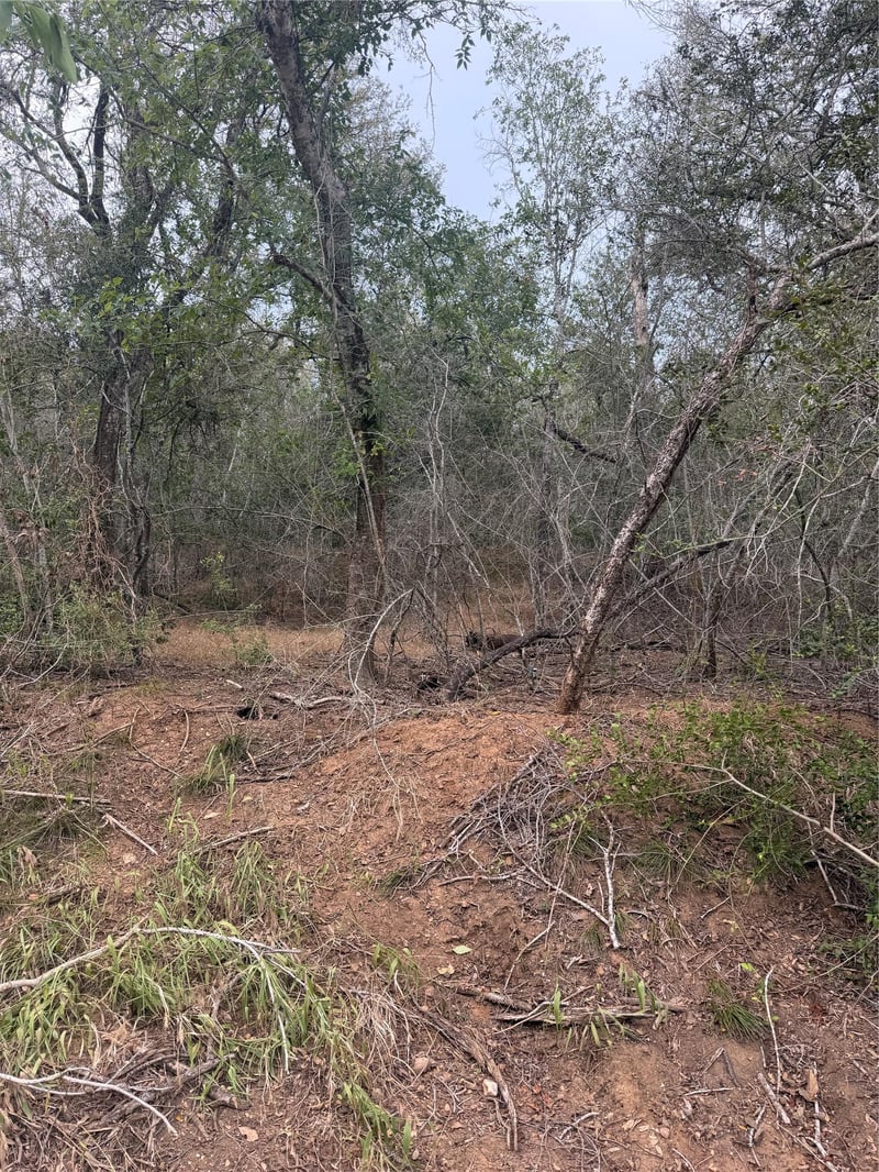 Lots 565 and 566 Mokulua LN, Bastrop, TX 78602