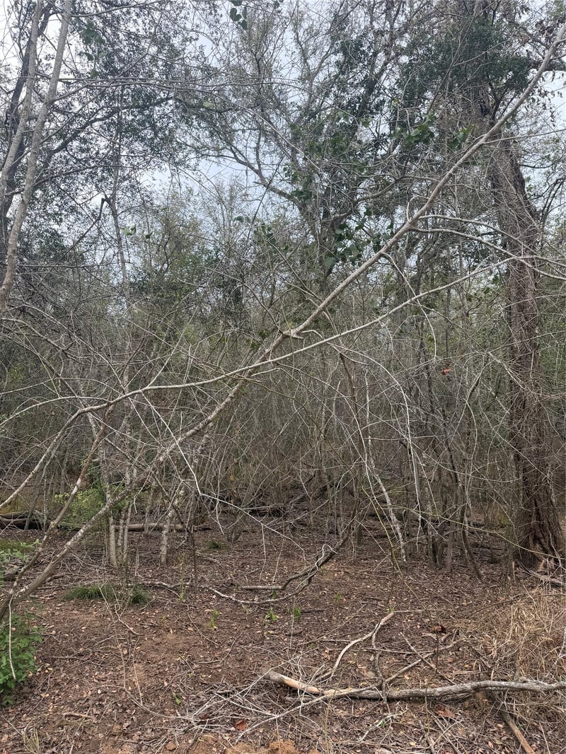 Lots 565 and 566 Mokulua LN, Bastrop, TX 78602