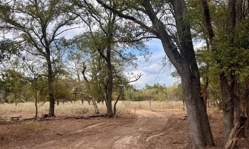 12 Acres Mt Pleasant, Cedar Creek, TX 78612